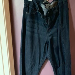 Torrid Source of Wisdom Jeans size 20